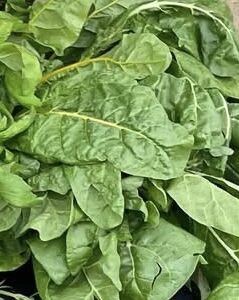 swiss chard