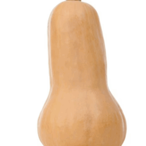 Butternut Squash
