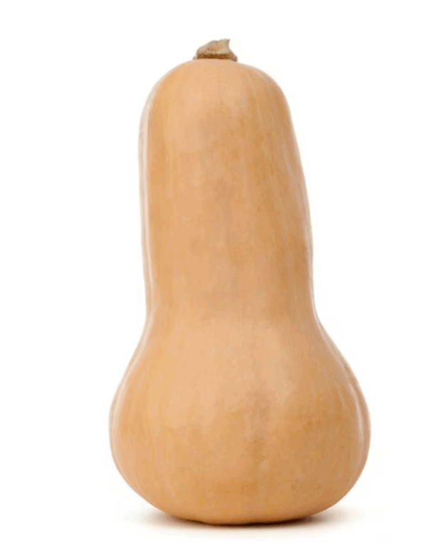 Butternut Squash