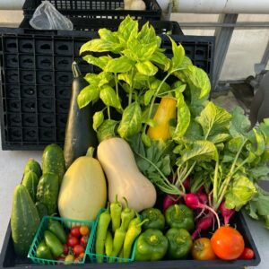 Produce Plus
